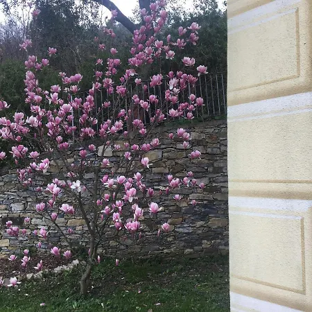 Olivari - La Lavanda Apartment *