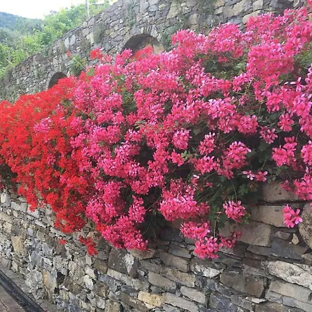 Olivari - La Lavanda Apartment