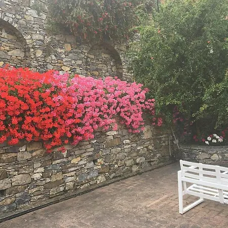 Olivari - La Lavanda *