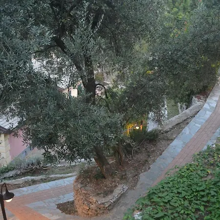 Olivari - La Lavanda Apartment Camogli