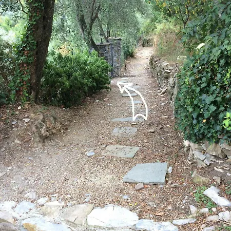 Olivari - La Lavanda *