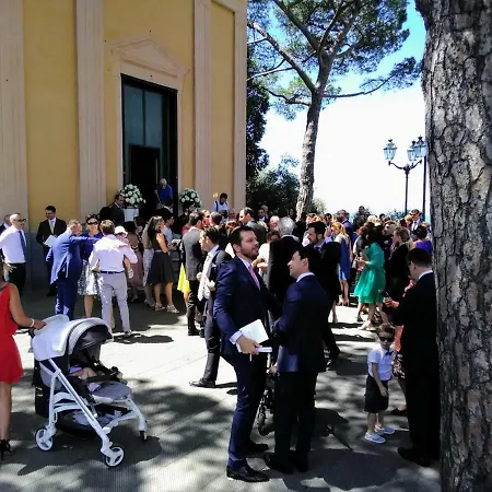 Olivari - La Lavanda