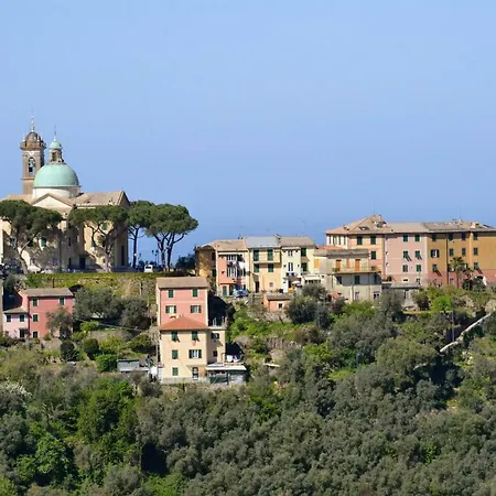 Olivari - La Lavanda * Camogli