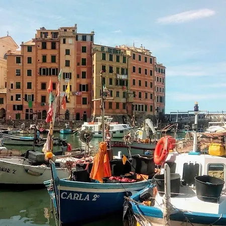 Olivari - La Lavanda