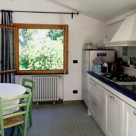 Olivari - La Lavanda