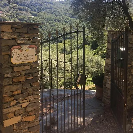 Olivari - La Lavanda