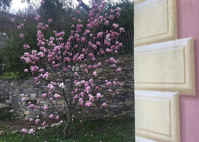 Olivari - La Lavanda 아파트 *