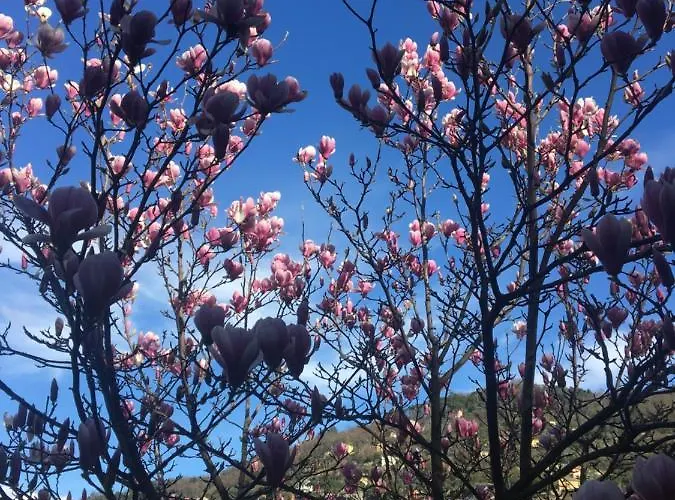 아파트 Olivari - La Lavanda