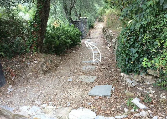 Olivari - La Lavanda *