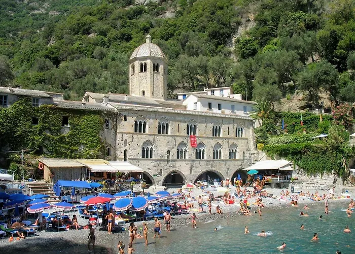 Olivari - La Lavanda