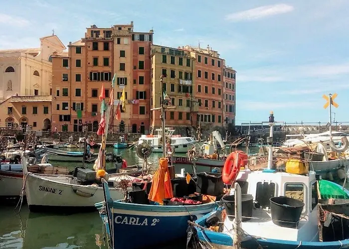 Olivari - La Lavanda