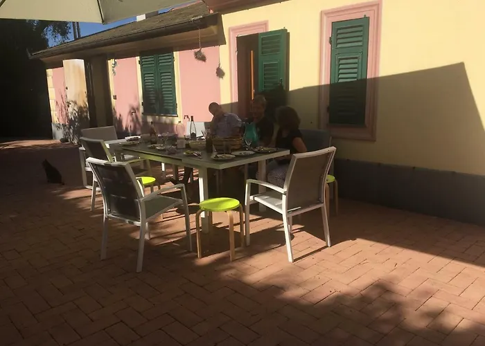 Olivari - La Lavanda * 카모글리