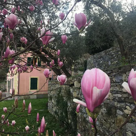 Olivari - La Lavanda 公寓