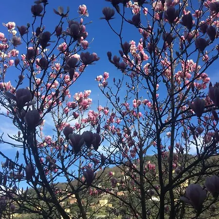 公寓 Olivari - La Lavanda