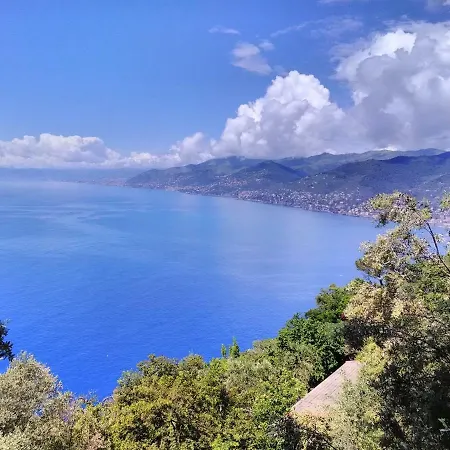 Olivari - La Lavanda * Camogli