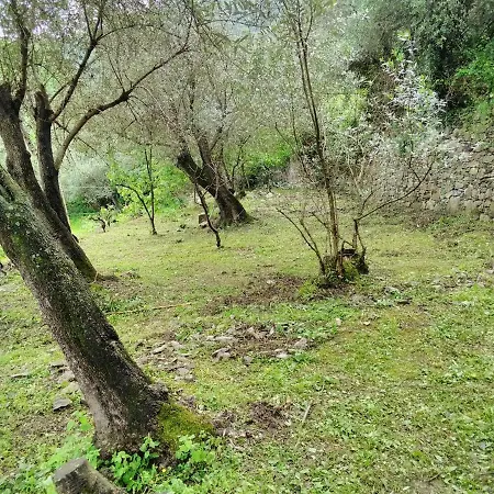 Olivari - La Lavanda * Camogli