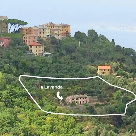 Olivari - La Lavanda Appartamento Camogli