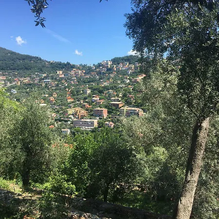 Olivari - La Lavanda Appartamento Camogli