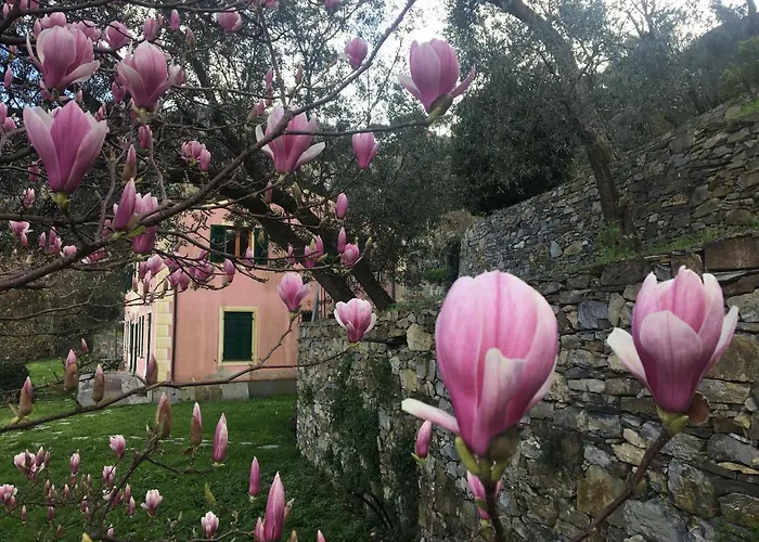 Olivari - La Lavanda Apartman