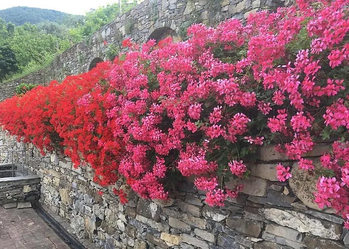 Olivari - La Lavanda Apartman