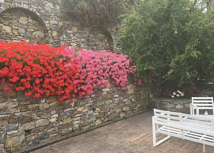 Olivari - La Lavanda *