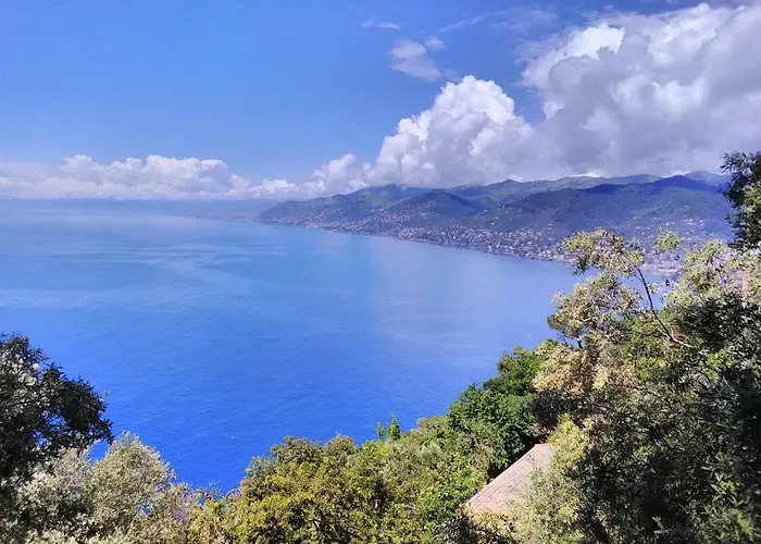 Olivari - La Lavanda * Camogli