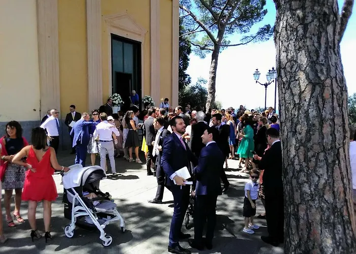 Olivari - La Lavanda