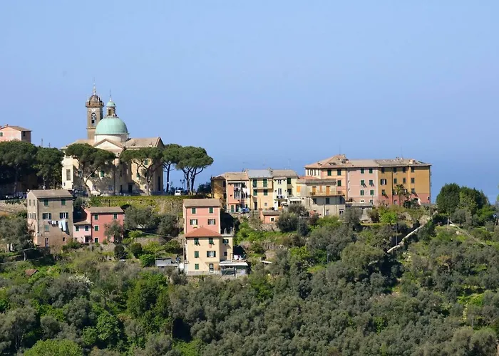 Olivari - La Lavanda * Camogli