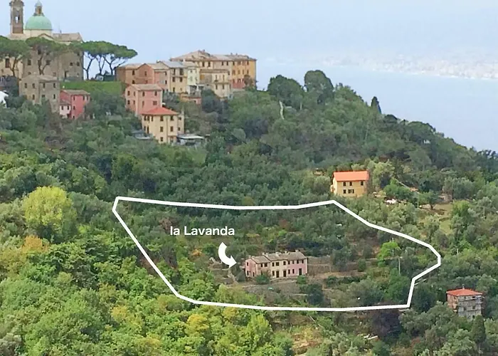 Olivari - La Lavanda Apartman Camogli