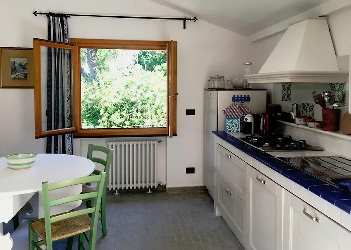 Olivari - La Lavanda