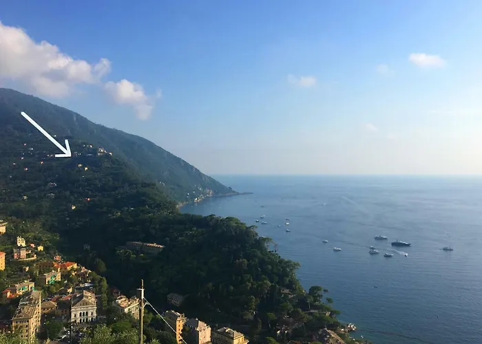 Olivari - La Lavanda Apartman