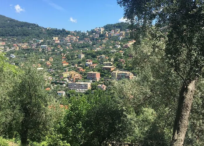 Olivari - La Lavanda Apartman Camogli