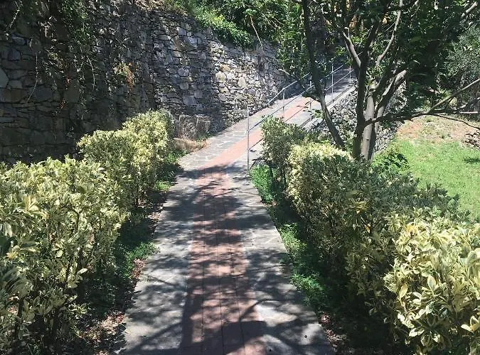 Apartman Olivari - La Lavanda *