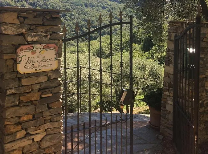 Olivari - La Lavanda