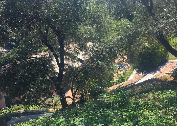 Olivari - La Lavanda Apartman